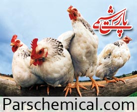 فروش کود مرغی در اصفهان