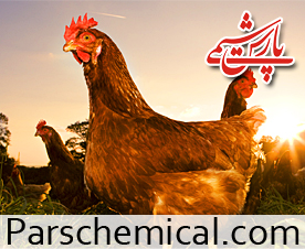 فروش کود مرغی فله فروش کود مرغی فله