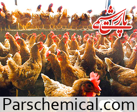 فروش کود مرغی فروش کود مرغی
