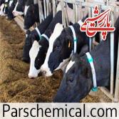 تولید گاز متان از کود گاو