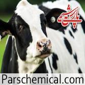 خرید و فروش کود گاوی در شیراز