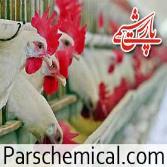 شرکت تولید کننده کود مرغی