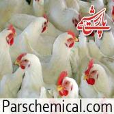 فروش کود مرغی در تهران