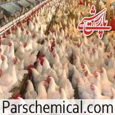 فروش کود مرغی در همدان