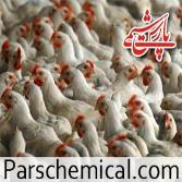 قیمت کود مرغ در یزد