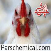 کود مرغی برای زعفران